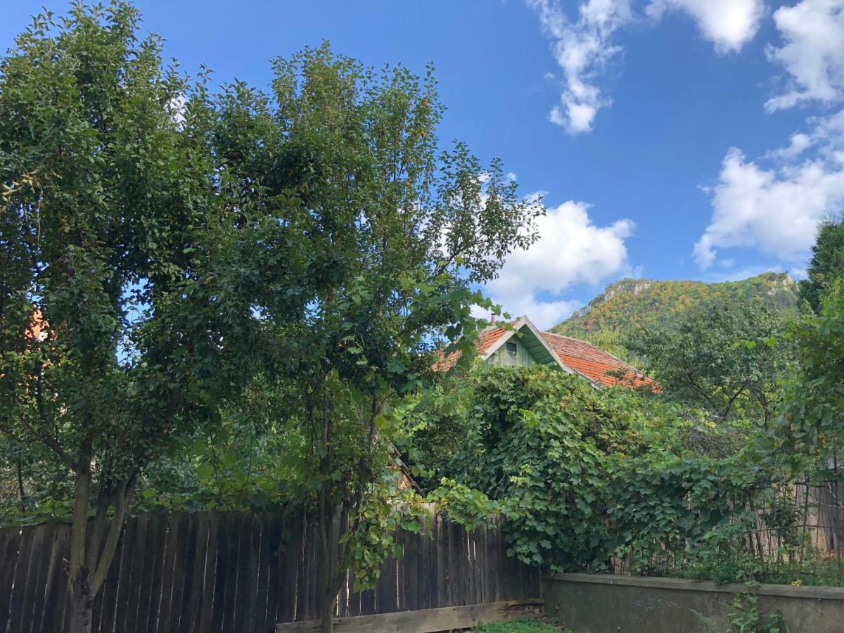 בראשוב Schei Apartment 2 מראה חיצוני תמונה